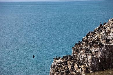 《真三国无双：起源》全新截图 吕布貂蝉等亮相