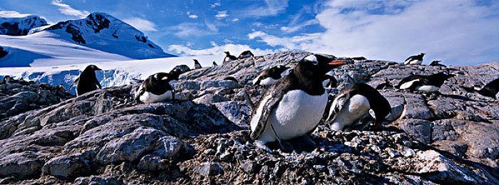 忍龙开发者动作新游《Wanted: Dead》30分钟试玩演示